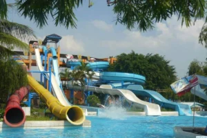 Thuê xe du lịch tại Bàu Bàng