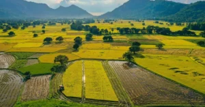 Thuê xe du lịch tại Châu Đốc