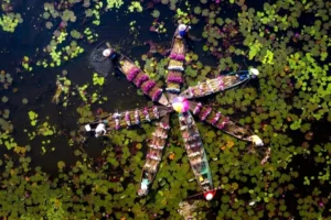 Thuê xe du lịch tại Đức Huệ