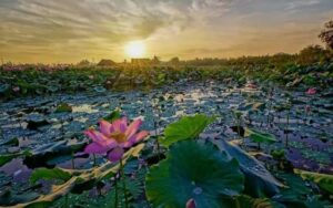 Thuê xe du lịch tại Gò Công Tây