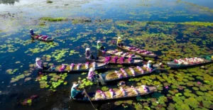 Thuê xe du lịch tại Thạnh Hóa