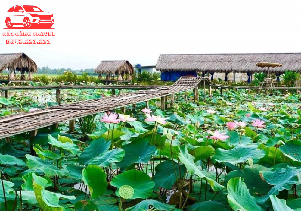 Từ Sài Gòn Đi Đồng Tháp Bao Nhiêu Km